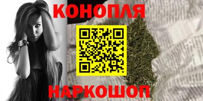 прущие грибы Анжеро-Судженск