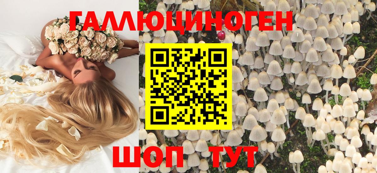 Галлюциногенные грибы GOLDEN TEACHER  Вход с VPN  Белая Калитва 